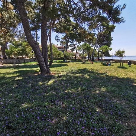 Nina Deluxe Superior 5 Star Apartment, Your Piece Of Heaven By The Sea & Park Novigrad Istria Exteriér fotografie