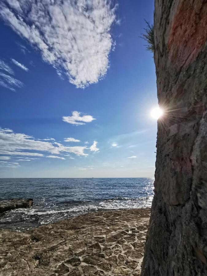 Nina Deluxe Superior 5 Star Apartment, Your Piece Of Heaven By The Sea & Park Novigrad Istria Exteriér fotografie