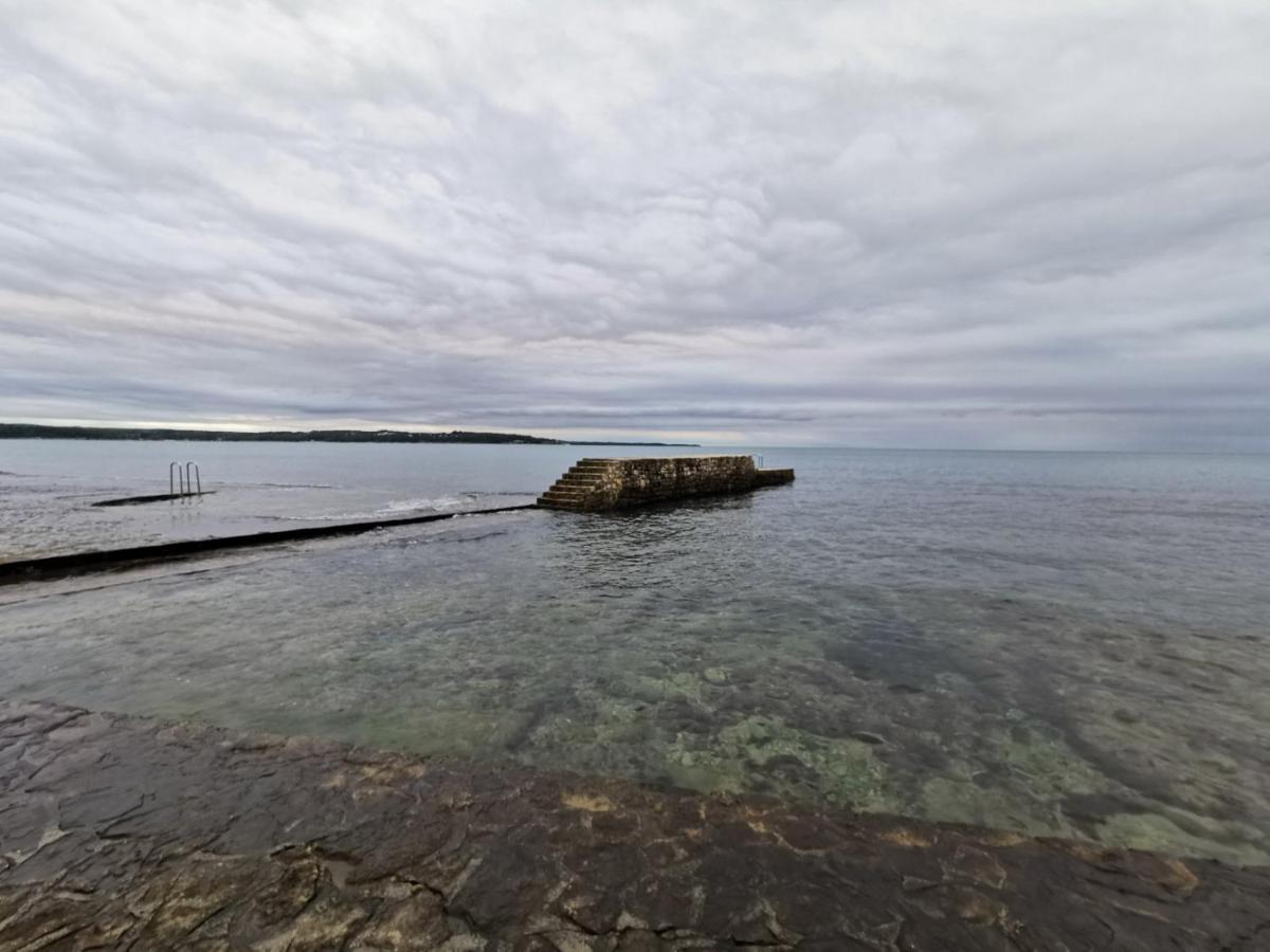 Nina Deluxe Superior 5 Star Apartment, Your Piece Of Heaven By The Sea & Park Novigrad Istria Exteriér fotografie